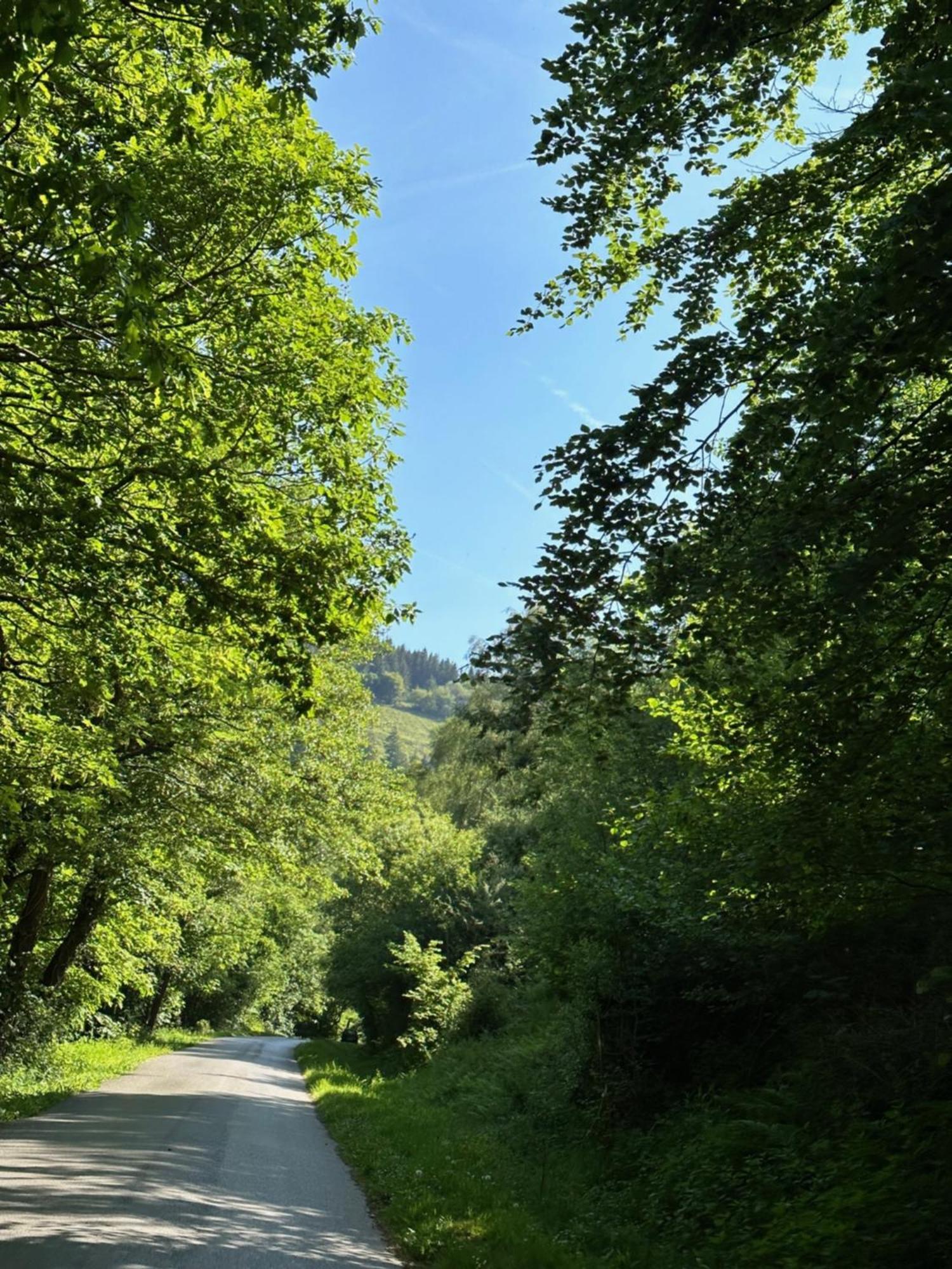 Ty Cwm - Valley House